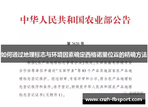 如何通过地理标志与环境因素确定西格诺里位置的精确方法
