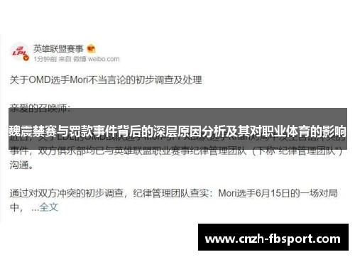 魏震禁赛与罚款事件背后的深层原因分析及其对职业体育的影响 魏震禁赛与罚款事件背后的深层原因分析及其对职业体育的影响