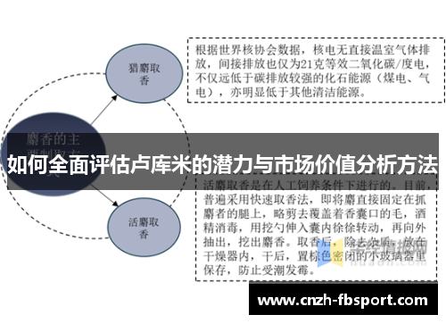 如何全面评估卢库米的潜力与市场价值分析方法 如何全面评估卢库米的潜力与市场价值分析方法