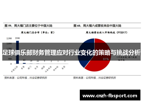 足球俱乐部财务管理应对行业变化的策略与挑战分析